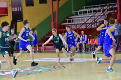 17.11.2024 - Juniorzy: Nawrot Śląsk Wrocław - AK Orły